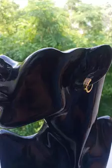 Gold earrings