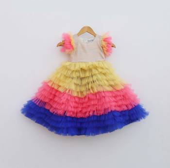 Multi Colour Net Gown 1