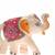 Rajasthani Elephant Paper Mesh Idol & Showpiece Set of 6 (White, 9X7 cm, 7X 5 cm, 6X 4 cm)