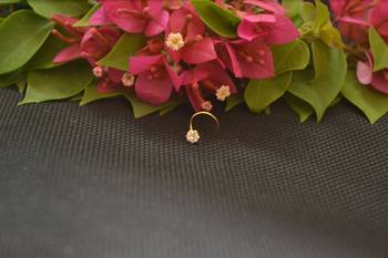 Designer Gold Plated cubic zirconia nose ring or nose pin 1