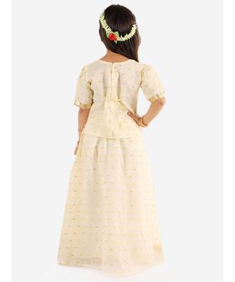 White Gold Weave Jacquard White Pavda Pattu 3
