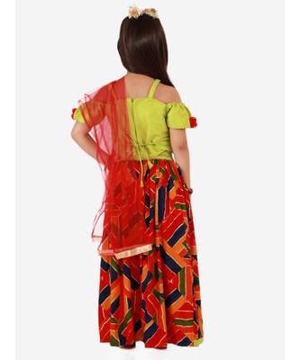 Green/Multi Zig Zag  Lehenga Choli 3