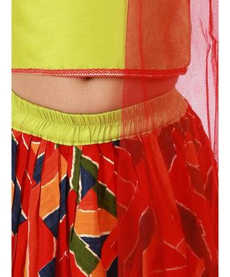 Green/Multi Zig Zag  Lehenga Choli 4