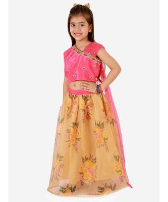 Pink Embroidered Choli With Net Dupatta With Printed Lehenga 2