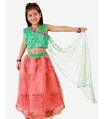 Green Embroidered Choli With Net Dupatta With Printed Lehenga