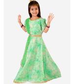 Mint Green Princess Floral Gown With Belt And Sequins Dupatta