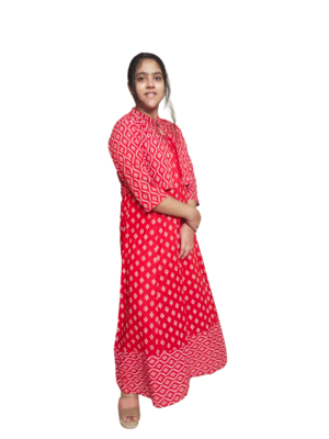 Red Rayon Sulv Digital Print Gown 3