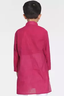   Handloom Purple Kurta