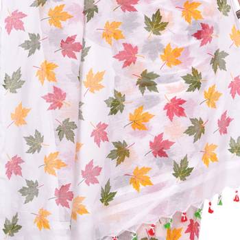 Multicolor Hand Woven Cotton Saree Without Blouse 4