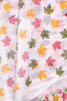 Multicolor Hand Woven Cotton Saree Without Blouse