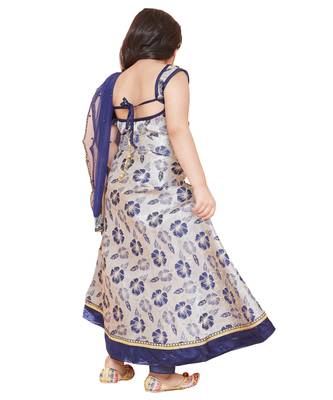 Blue Jacquard printed stitched   lehenga &   choli with dupatta 2