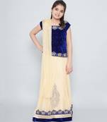 Beige Net Embroidered stitched   lehenga &   choli with dupatta