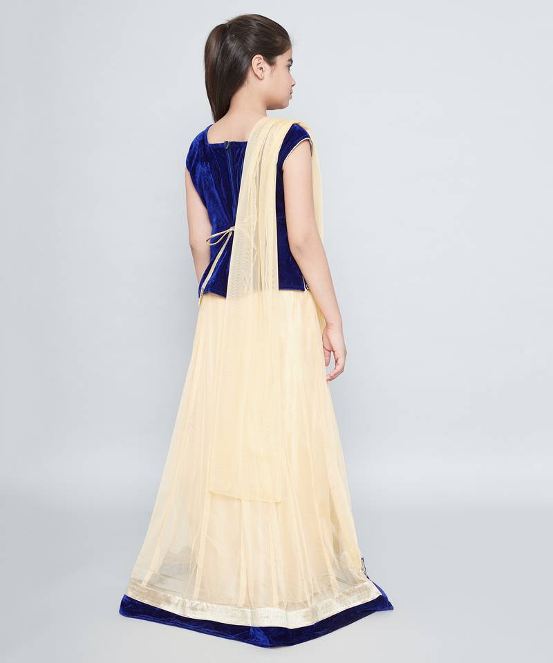 Beige Net Embroidered stitched   lehenga &   choli with dupatta