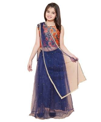 Blue Net printed stitched   lehenga &   choli with dupatta 1