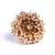 Gold Plated Pearl Studded Rings
