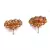 White Gold Plated Stone Earrings