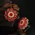 Red Gold Plated Stone Earrings