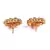 Multicolor Gold Plated Stone Earrings