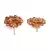 Red Gold Plated Stone Earrings