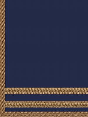 Women Blue Jequard Banarasi Silk Lehenga Choli with Dupatta 4