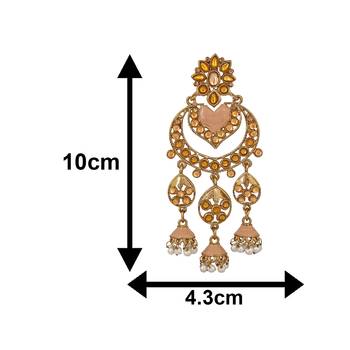 Brown crystal earrings 4