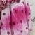 Purple Pink shibori Printed With Sequins cotton semi stitched lehenga