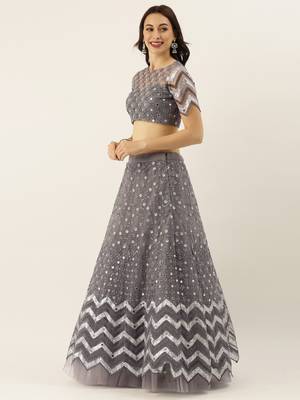 Grey Embroidered Net Semi-Stitched Lehenga & Unstitched Blouse With Dupatta 3
