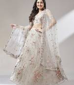 Taupe Embroidered Net Semi-Stitched Lehenga & Unstitched Blouse With Dupatta