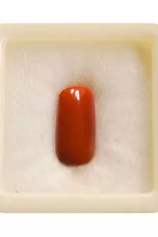 Natural Italian Moonga Loose Gemstone Red Munga Birthstone Astrology 6.25 Ratti 5.68 Carat
