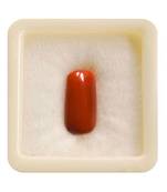 Natural Italian Moonga Loose Gemstone Red Munga Birthstone Astrology 6.25 Ratti 5.68 Carat