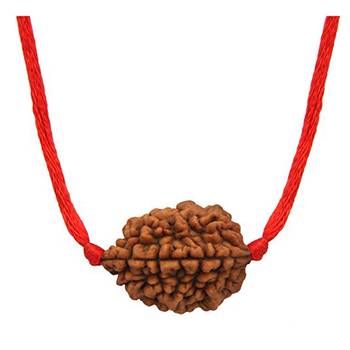Certified 2 Mukhi Two Faced Nepali Rudraksha Beads Pendant with Red Thread Simple Loose Bead Locket For Men & Women 1
