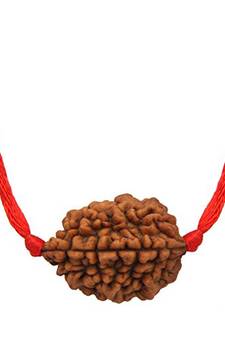 Certified 2 Mukhi Two Faced Nepali Rudraksha Beads Pendant with Red Thread Simple Loose Bead Locket For Men & Women