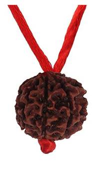 Ath Mukhi Eight Faced Indonesia Rudraksha Beads Simple Pendant Meditation Locket with Red Thread Astrological Jewellery