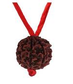 Ath Mukhi Eight Faced Indonesia Rudraksha Beads Simple Pendant Meditation Locket with Red Thread Astrological Jewellery