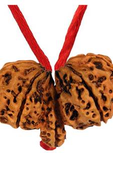 Lab Certified Gauri Shankar Simple Pendants Rudraksha Real Bead with Red Thread For  Locket Jewelry