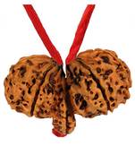 Lab Certified Gauri Shankar Simple Pendants Rudraksha Real Bead with Red Thread For  Locket Jewelry