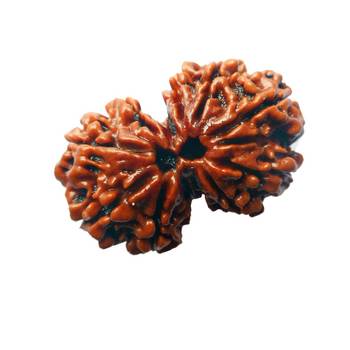 Lab Certified Gauri Shankar Simple Pendants Rudraksha Real Bead with Red Thread For  Locket Jewelry 2