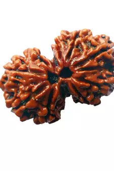 Lab Certified Gauri Shankar Simple Pendants Rudraksha Real Bead with Red Thread For  Locket Jewelry