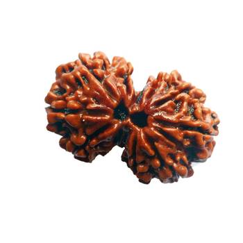 Lab Certified Gauri Shankar Simple Pendants Rudraksha Real Bead with Red Thread For  Locket Jewelry 5
