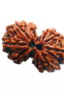 Lab Certified Gauri Shankar Simple Pendants Rudraksha Real Bead with Red Thread For  Locket Jewelry