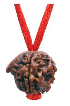 and Lab Certified Shree Ganesh Rudraksha Simple Pendant Loose Bead spiritual Locket For  Jewellery