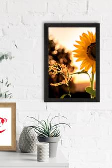 Sunflower Satin Matt Texture UV Art Painting