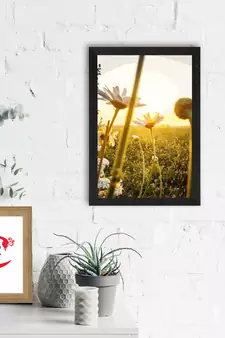 Beautiful Daisy Flower Satin Matt Texture UV Art Painting