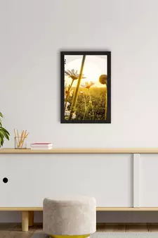 Beautiful Daisy Flower Satin Matt Texture UV Art Painting