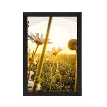 Beautiful Daisy Flower Satin Matt Texture UV Art Painting 3