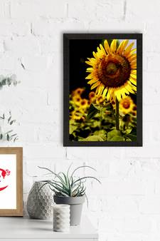 Sunflower on Sunny Say Satin Matt Texture UV Art Painting
