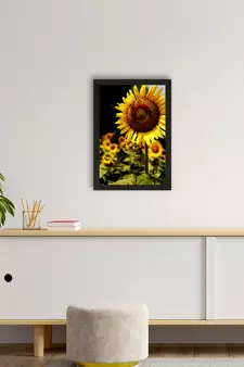 Sunflower on Sunny Say Satin Matt Texture UV Art Painting