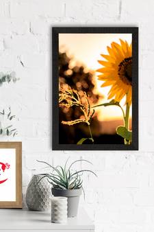 Sunflower Satin Matt Texture UV Art Painting