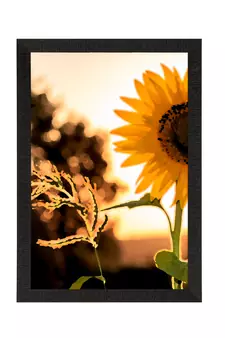 Sunflower Satin Matt Texture UV Art Painting