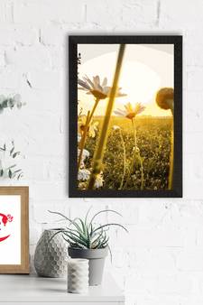 Beautiful Daisy Flower Satin Matt Texture UV Art Painting